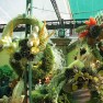cvecara-ikebana-becej